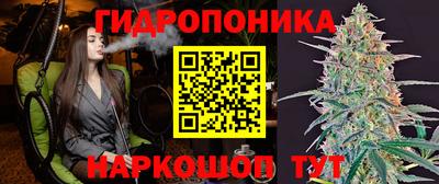 гашик Северобайкальск